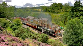 train